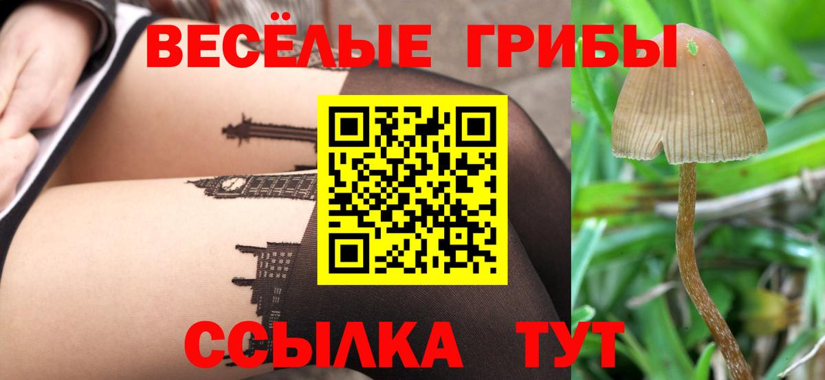 Псилоцибиновые грибы прущие грибы  Вход с VPN  Новоалександровск 